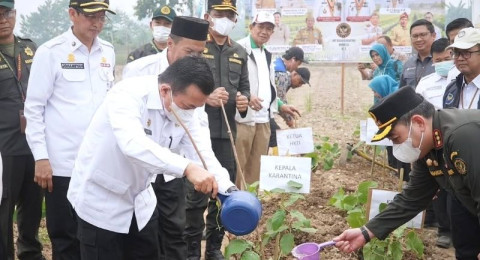 Kampung Pangan Terpadu, Menyemai Asa dari Buluran Kenali